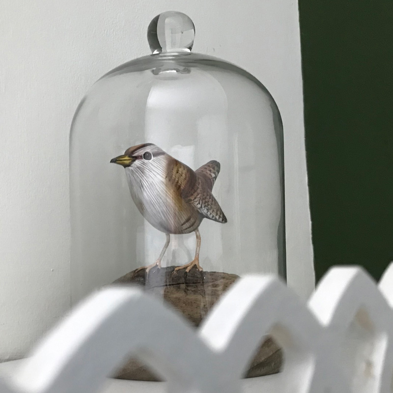 bird ornament under a glass dome